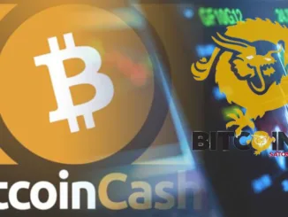 Bitcoin Cash Bitcoin SV