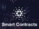 Cardano Smart Contracts