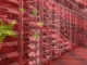 China Bitcoin Mining