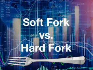 Soft Fork vs Hard Fork