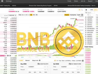 BNB Coin