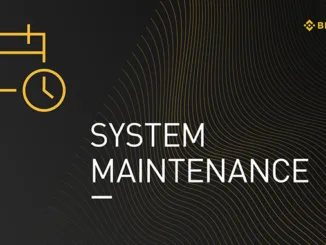 Binance Maintenance