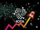 IOTA Investment