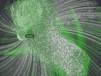 Ripple Bot Netzwerk