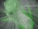 Ripple Bot Netzwerk