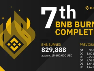 BNB Coin Burn