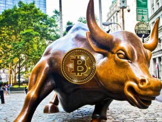 Bitcoin Bull