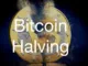 Bitcoin Halving