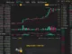 Binance Margin Trading