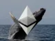 Ethereum whale