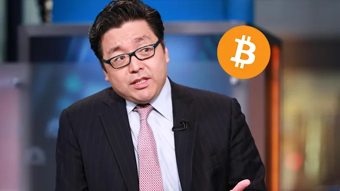 Tom Lee Bitcoin