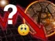 Bitcoin crash