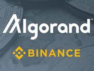 Algorand Binance