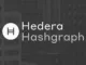 Hedera Hashgraph
