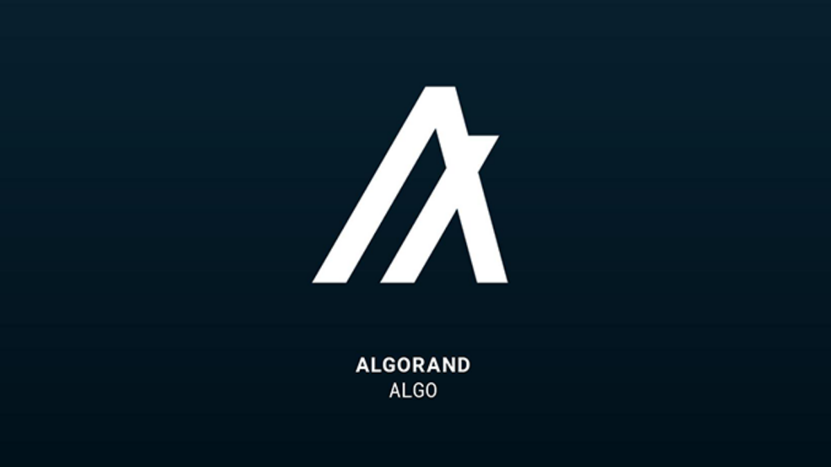 Algorand (ALGO) im freien Fall – Mehr Hype als Verstand? – Block-Builders.de