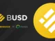 Binance Stable Coin