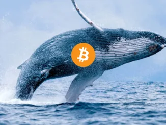 Bitcoin whale