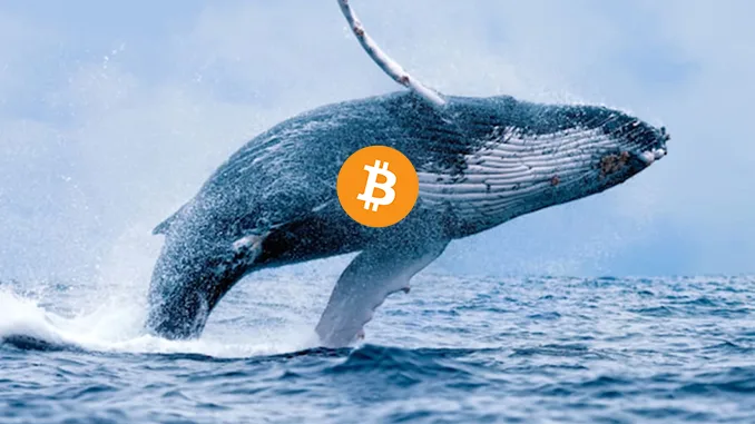 Bitcoin whale