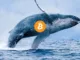 Bitcoin whale