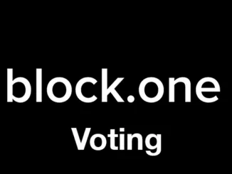 Block one voting
