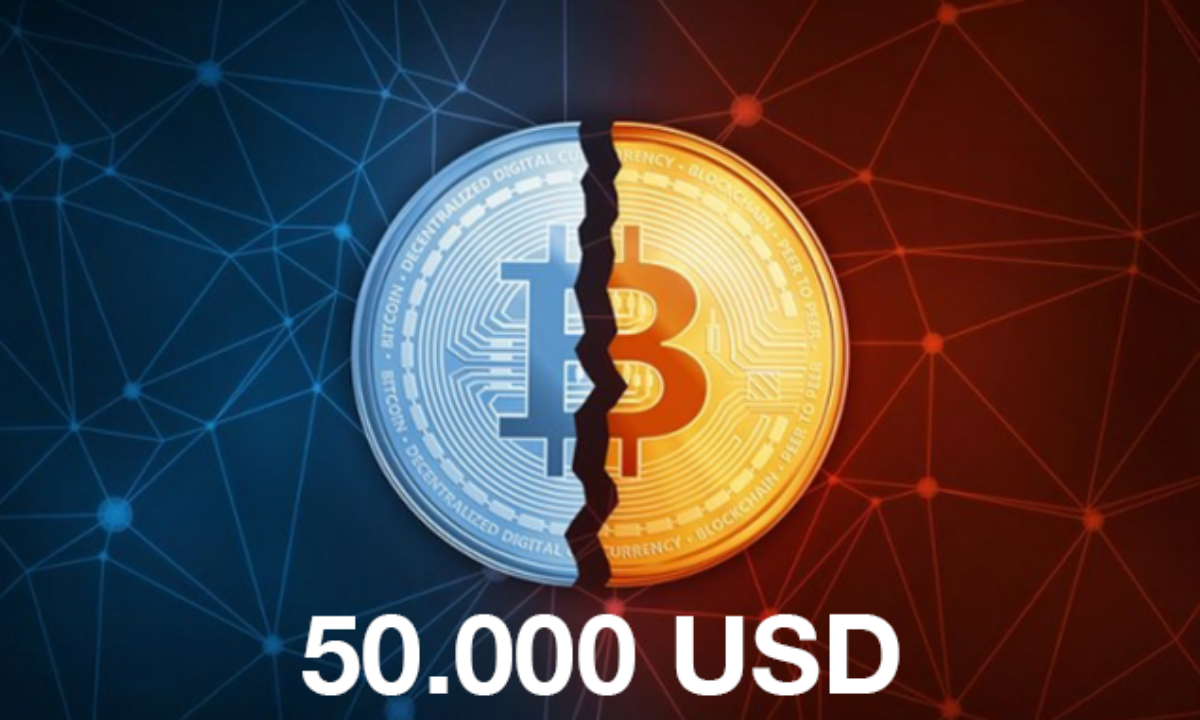 Bitcoin Halving: Neue Prognose sieht Kurs von bis zu 50.000 US-Dollar –  Block-Builders.de