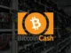 Bitcoin Cash Mining