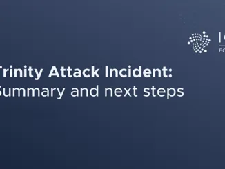 IOTA Summary Incident
