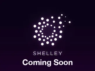 shelley coming soon