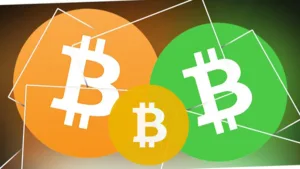 BCH BSV Halving