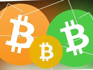 BCH BSV Halving