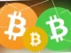 BCH BSV Halving