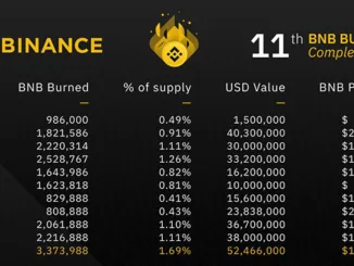 BNB Burn