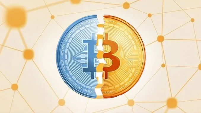 Bitcoin Halving