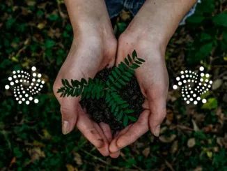 IOTA Climate
