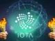 IOTA Foundation Money