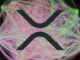 XRP TRansactions