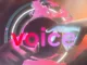 voice.com