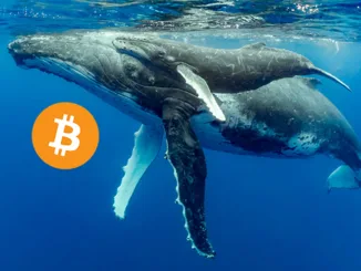 Bitcoin Whale