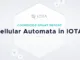 IOTA Coordicide Grant