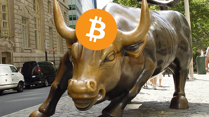 Bitcoin Bull