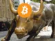 Bitcoin Bull