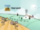 Harvest Finance Exploit