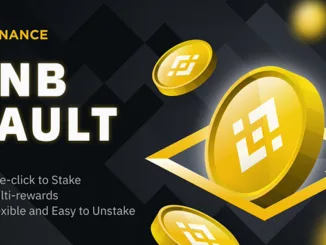 BNB VAult