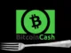 Bitcoin Cash Fork