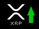 XRP Up