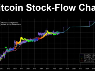 Bitcoin Stock Flow
