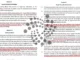 IOTA Foundation