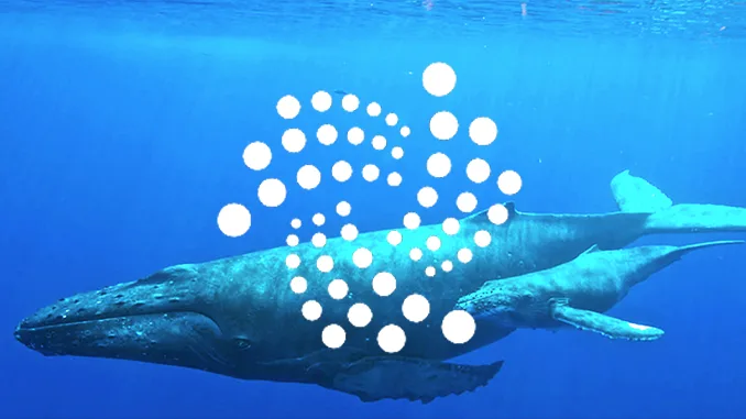 IOTA Whales