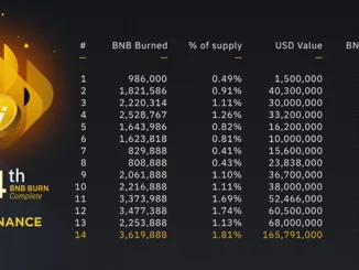14th BNB Burn