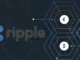 Ripplenet